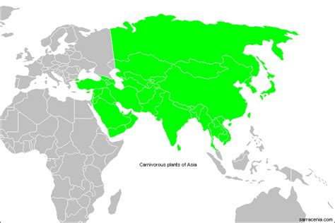 Europe Asia Border Line Map