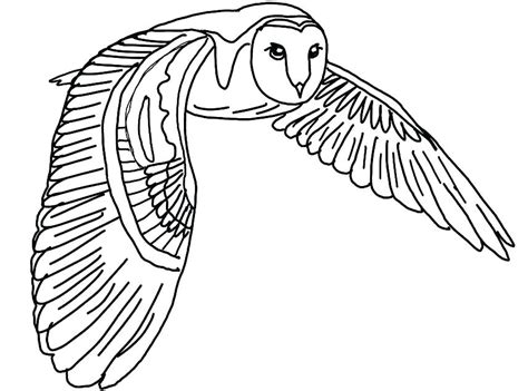 Owl Flying Drawing Free Download On Clipartmag