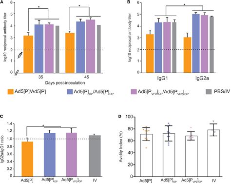 Frontiers Optimized Adenoviral Vector That Enhances The Assembly Of