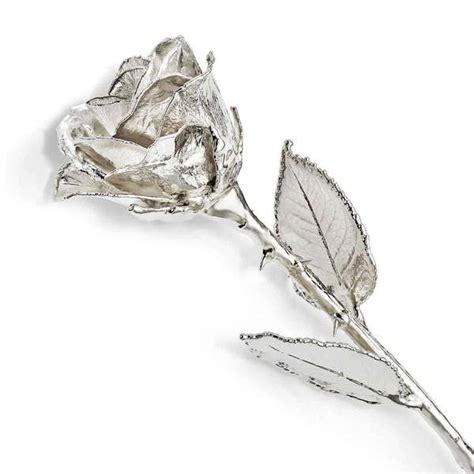 Buy Inch Silver Rose Online At Best Price Od