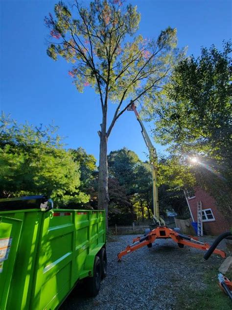 Tree Service Tree Removal Hendersonville And Asheville Nc Avl Tree Men