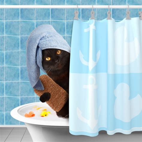 Cat In Towel With Sponge And Shampoo — Stock Photo © Funny