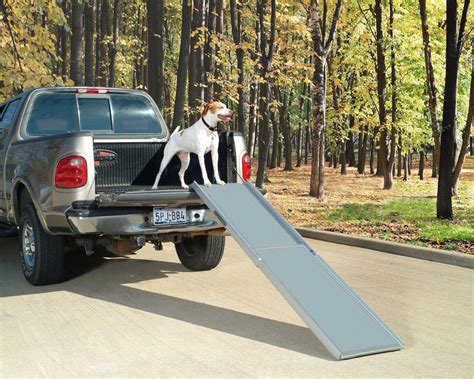 Comprehensive Guide To The 10 Best Telescopic Dog Ramps