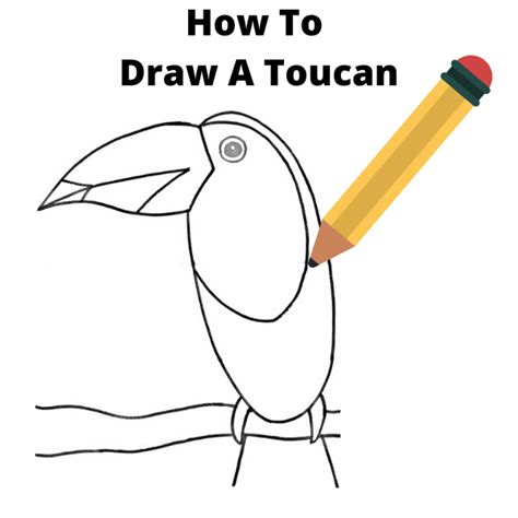 How To Draw A Toucan Easy Step By Step Drawing Tutorial