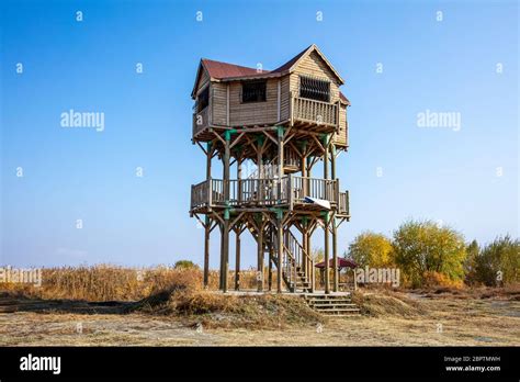 Bird Observation Tower Bird Watching Point At The Lake In Lake Eber
