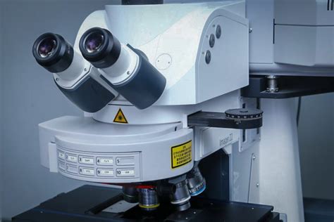 Laser Scanning Confocal Microscopy Is A High Tech Microscope