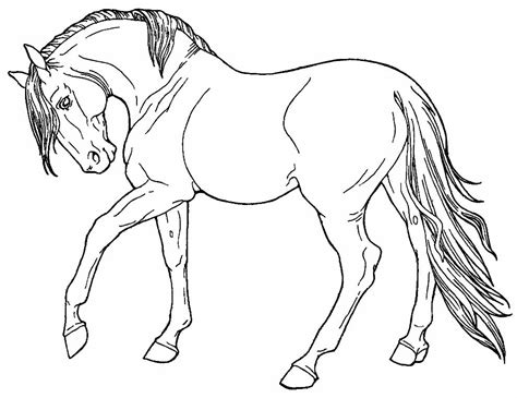 Aprender Sobre Imagem Desenhos De Cavalo Para Colo Vrogue Co