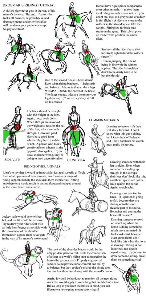 English Riding Disciplines By Nynke Fmnf On Deviantart