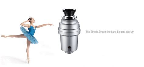 Clear Technology Leader In Food Waste Disposer