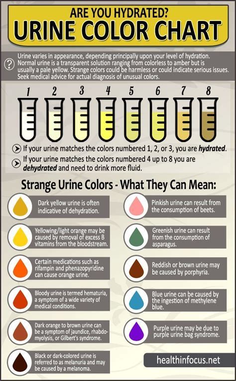 Urine Color Chart What Color Is Normal What Does It Mean What The