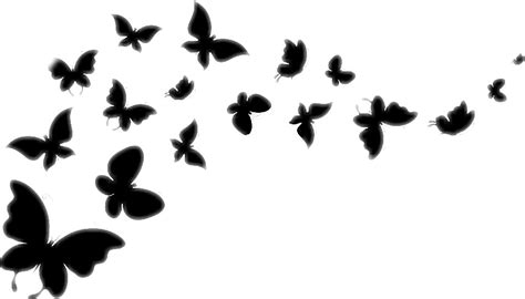 Butterfly Vector Graphics