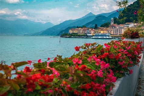 Amazing Flowery Shoreline Of Lake Como Near Bellagio Lombardy Italy