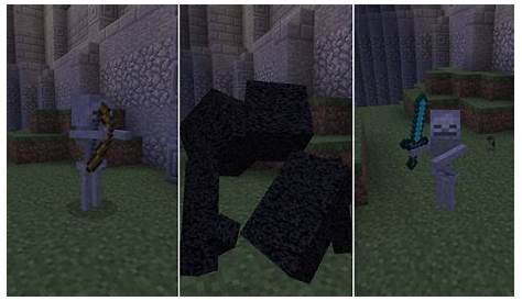 how to morph in minecraft