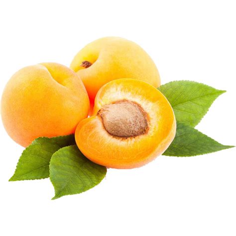 Oregon Fruit Puree Apricot