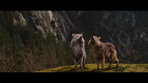 Twilight Saga Wolves The Twilight Saga Vampireswolves Photo