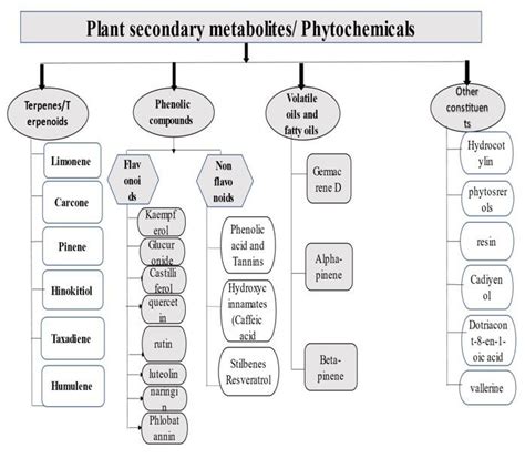 Major Classes Of Phytochemicals And Plant Secondary Metabolites