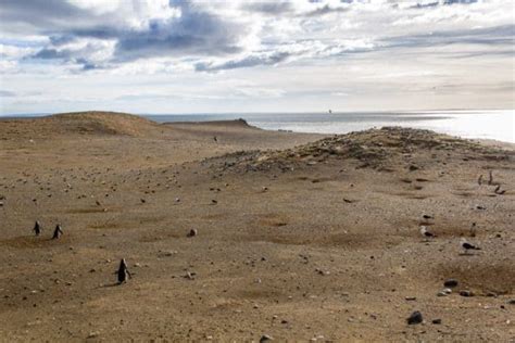 Ideal für unterwegs sind unsere trendigen snacks ein must für den aktiven lifestyle ihrer kunden! Zu den Pinguinen auf der Isla Magdalena {Punta Arenas ...