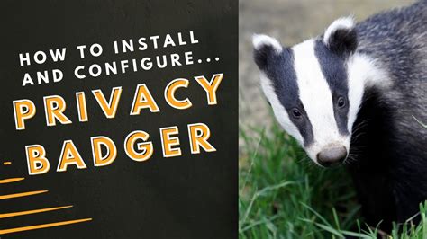 How To Install And Configure Privacy Badger Youtube