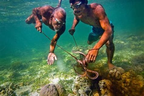 Bajau People Why They Spend Most Of Their Lives Underwater