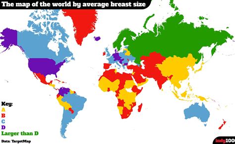 average breast cup size per country when you learn you re average and not sure how your search