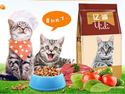 You're probably very familiar with wet and dry dog food. 10 Best Cat Food Brands From Taobao: Wet & Dry Food - Blog ...