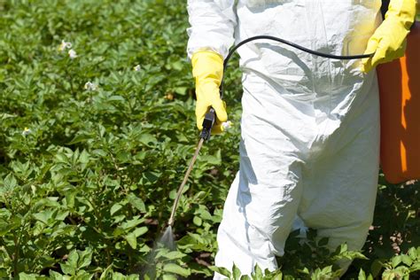 Your Complete Guide To Understanding Herbicides