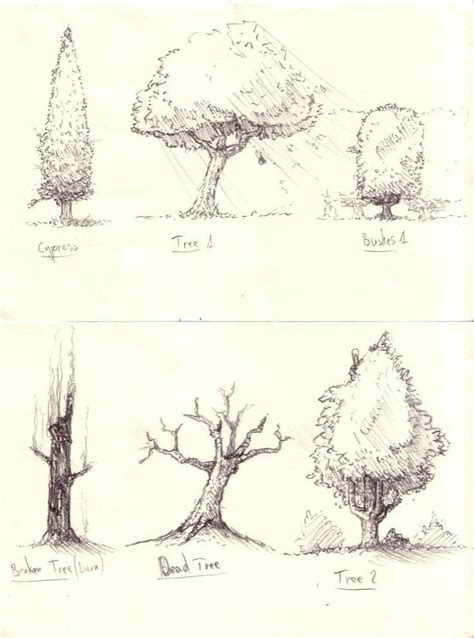 Image Result For How To Draw Realistic Trees Plants Bushes And Rocks
