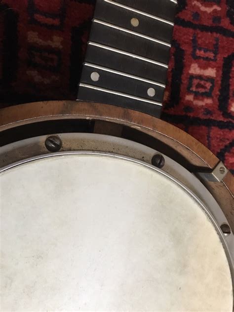 Vintage Antique W Temlett Maker London The No 1 Apollo Zither Banjo