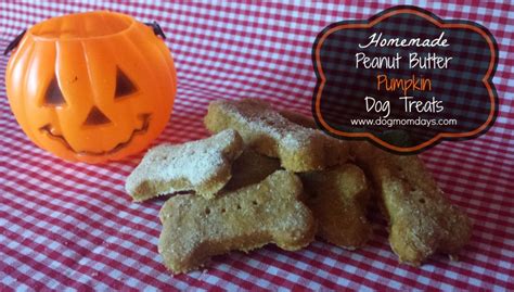 Homemade Pumpkin Dog Treats Round Up Dog Mom Days