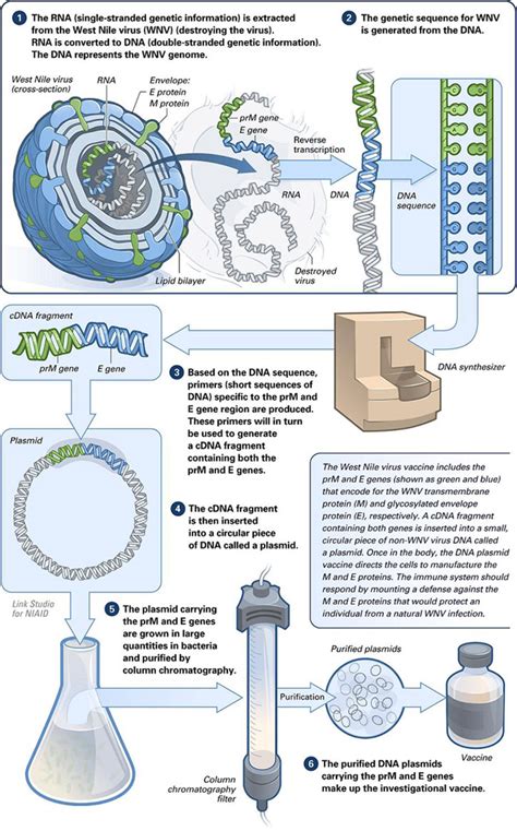 Proteins are the building blocks that. Microbial Biotechnology: Scope, Techniques, Examples.