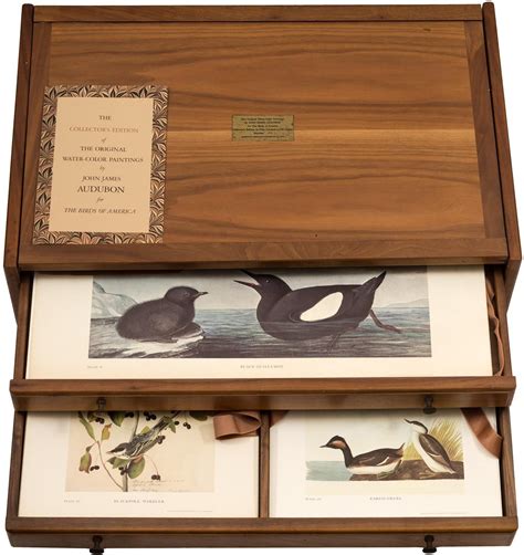 The Original Water Color Paintings By John James Audubon For The Birds