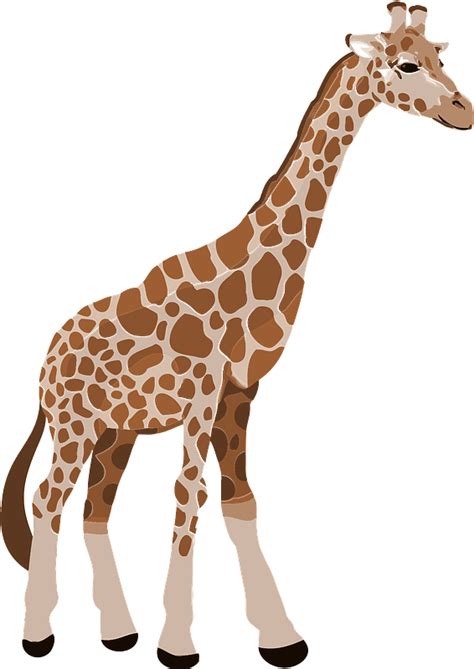 Giraffe Clipart Free Download Transparent Png Creazilla