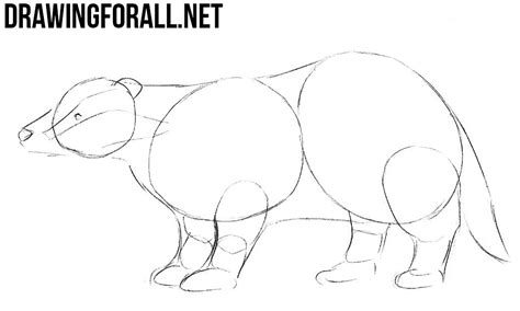 Use any medium you would like to draw this unicorn. How to Draw a Badger | Drawingforall.net