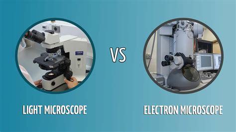 Light Vs Electron Microscope Whats The Difference With Pictures Images