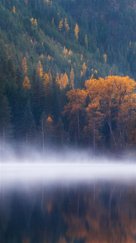 Wallpaper Echo Lake Forest Trees Fog Columbia Autumn 5k Nature