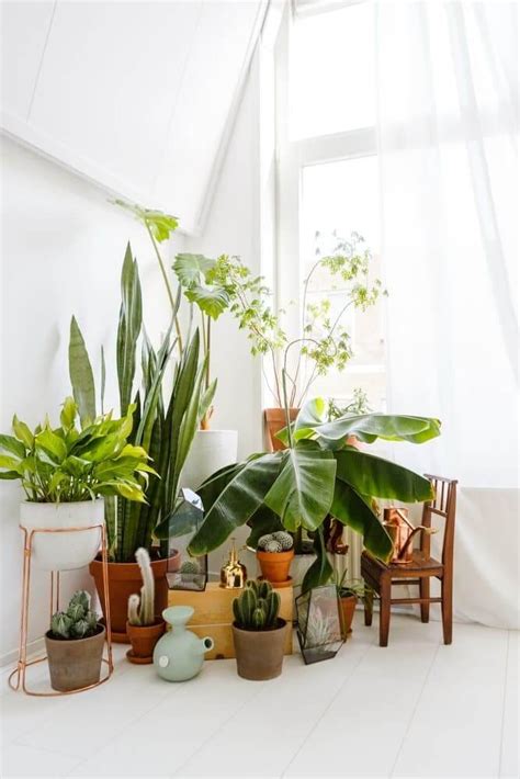 50 Ways To Decorate With Plants Even If You Have A Small Apartment