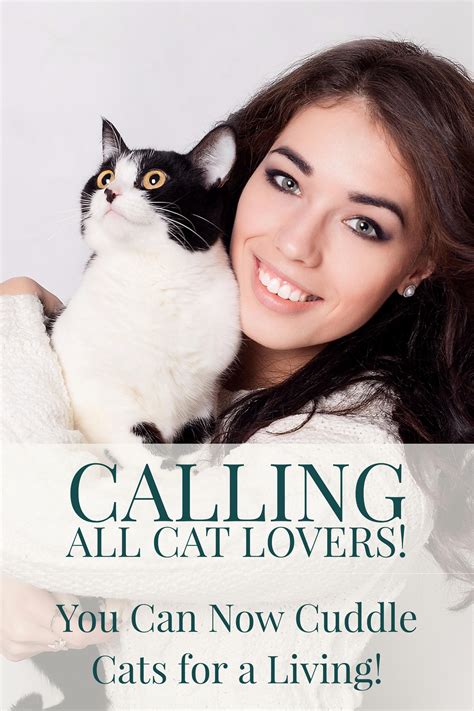 Calling All Cat Cuddlers! You Can Now Cuddle Cats for a Living! | Cat