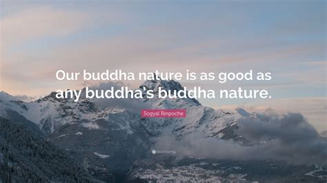 Sogyal Rinpoche Quote Our Buddha Nature Is As Good As Any Buddhas