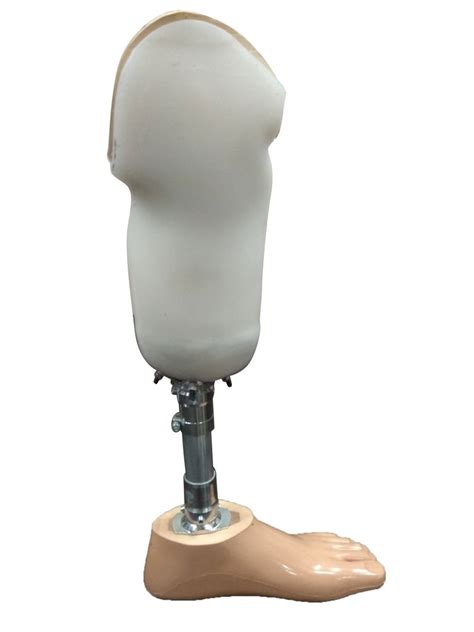 Below Knee Economic Prosthesis At Rs 19000 Prosthetic Knee In Pune