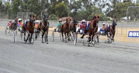 wimmera trainers eye stawell pacing cup glory the wimmera mail times horsham vic