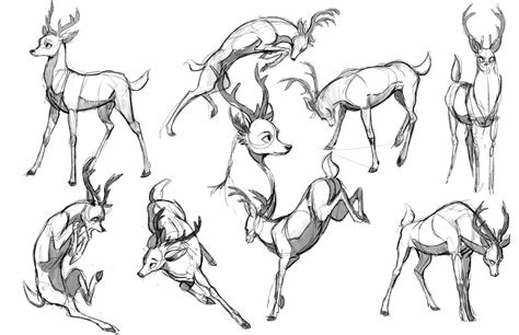 Some Stylized Deer Poses Exploration Drawing Animals In 2019