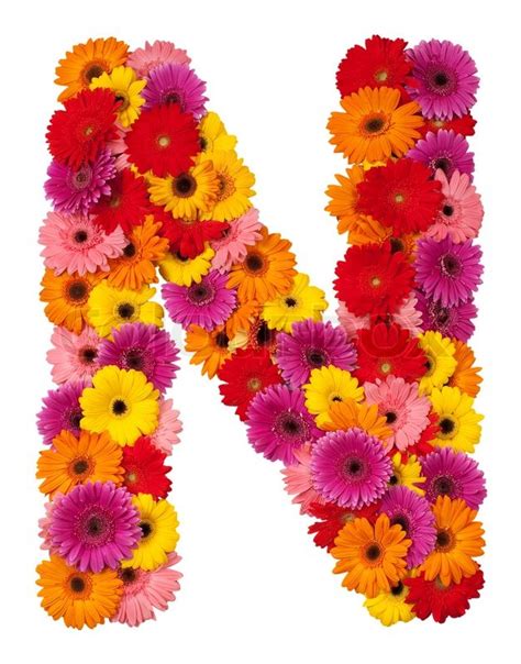 2,891 42 by hashuna in apple by possiblefire in hiding places by fungus amungus in laser cutting by ascas in woodworking by qkillhawknl in hiding places by goldlego in lighting by wholman in tools by comsa42 in hiding. Letter N - flower alphabet isolated on white background ...