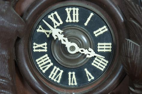 Vintage Black Forest Hunter Cuckoo Clock Regula German Deer Rabbit Gm