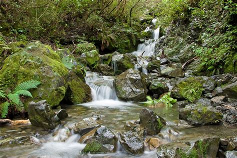 Posted by shloke 24 april 2009. Backcountry Bibles: Dog Stream Waterfall, Hanmer Forest ...