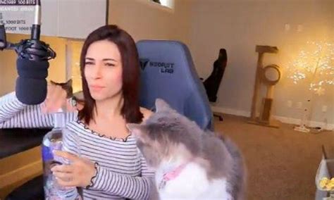 Gamer Alinity Under Investigation After Throwing Cat Spitting Vodka Into Mouth During