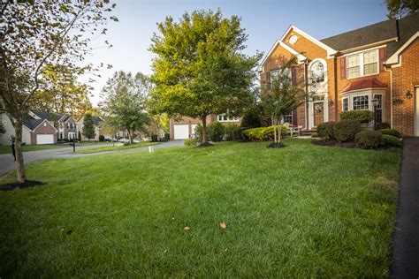 Последние твиты от southern pride lawn (@splc4). 7 Ways to Get Thicker, Greener Grass: Pro Lawn Care Tips ...
