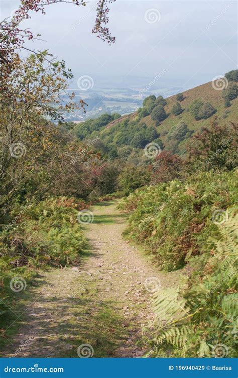 Quantock Hills Aonb Landscape Stock Image Image Of British Hill
