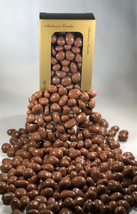 Chocolate Covered Raisins 10oz Andersons Candies Fundraising