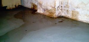 Water seepage in basement after rain. Water in Basement After Rain? Now What? - Pioneer Basement ...