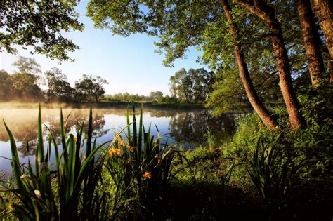 Wallpaper Morning Trees Light Lake Sunrise Canon Landscape